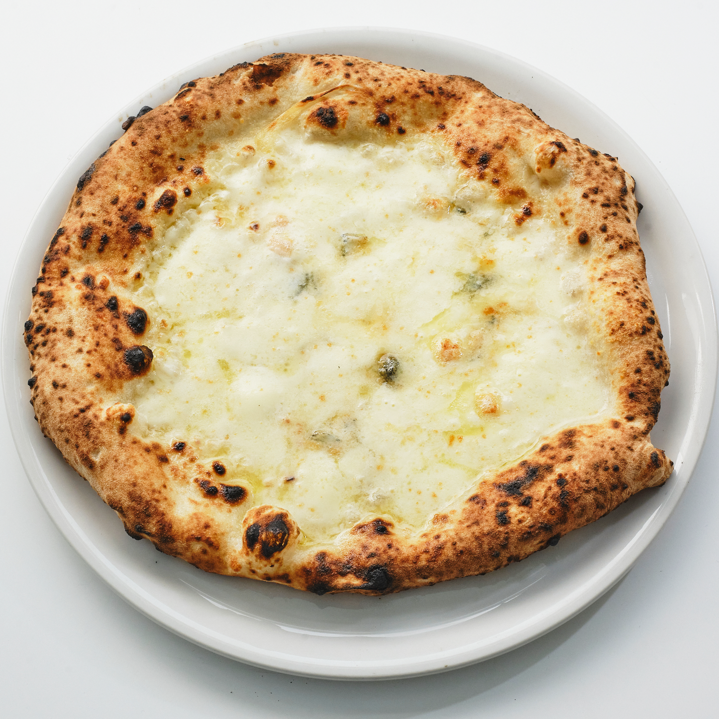 【NEW】マッキアータセット