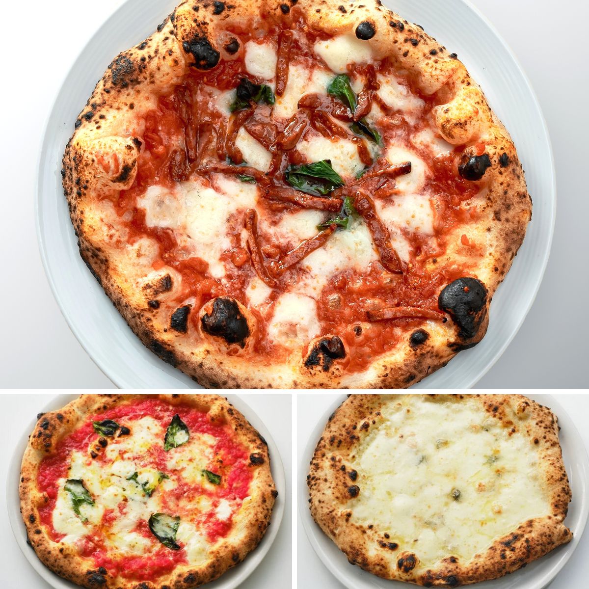 margherita