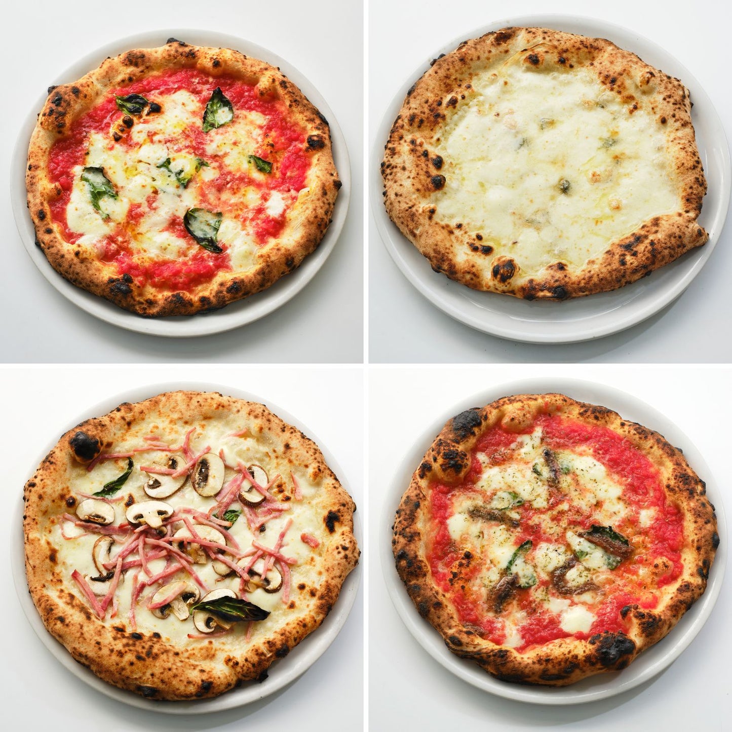 【セットでお得】お試し4枚セット