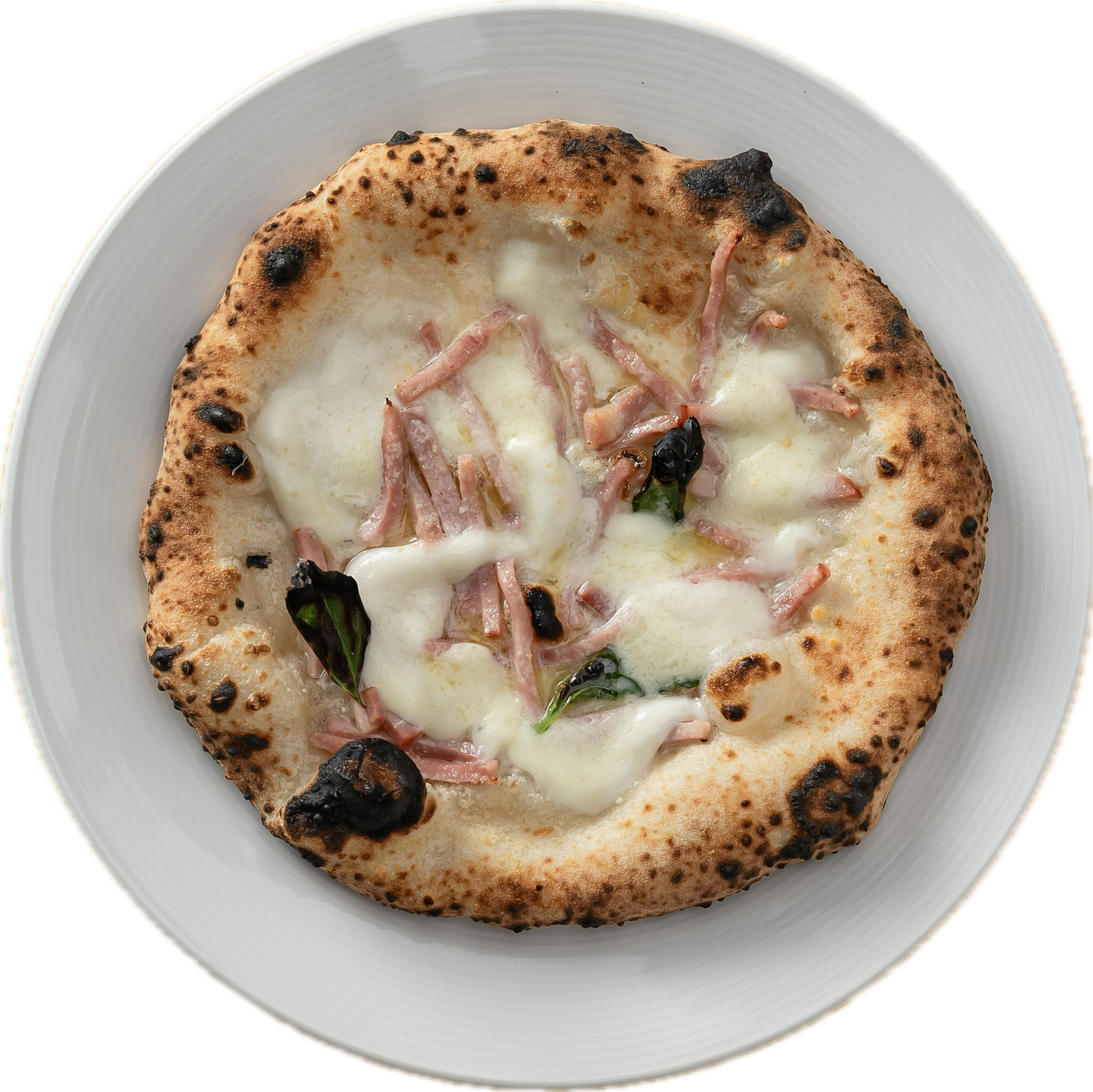 【NEW】ザッケローニ