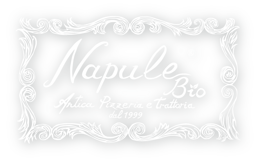 Napule online shop | ナプレ オンラインショップ